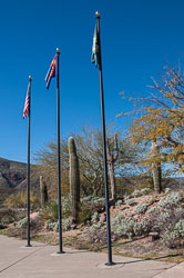 DSC_4827.jpg DSC_4827.jpg