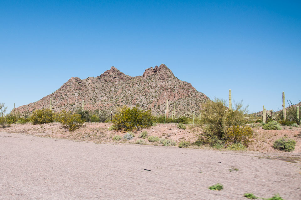 DSC_5108.jpg