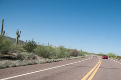 DSC_5075.jpg DSC_5075.jpg