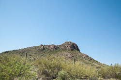 DSC_5100.jpg DSC_5100.jpg