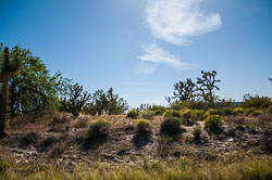 DSC_5448.jpg DSC_5448.jpg