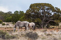 DSC_5843.jpg