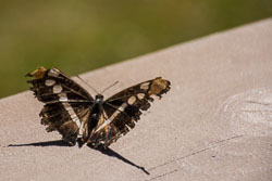 HJRW_20151114_DSC5868.jpg HJRW_20151114_DSC5868.jpg