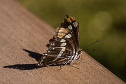 HJRW_20151114_DSC5870.jpg HJRW_20151114_DSC5870.jpg