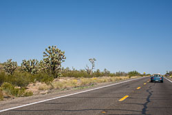 HJRW_20160416_DSC6859.jpg HJRW_20160416_DSC6859.jpg