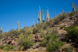 HJRW_20160416_DSC6884.jpg HJRW_20160416_DSC6884.jpg