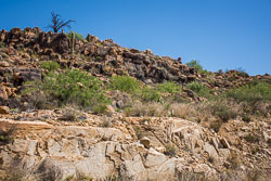 HJRW_20160416_DSC6933.jpg HJRW_20160416_DSC6933.jpg