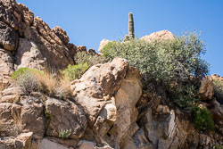 HJRW_20160416_DSC6935.jpg HJRW_20160416_DSC6935.jpg