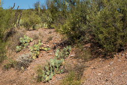 HJRW_20161105_DSC8397.jpg HJRW_20161105_DSC8397.jpg