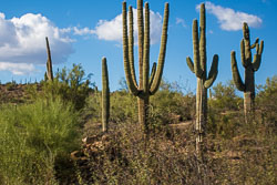 HJRW_20161105_DSC8421.jpg HJRW_20161105_DSC8421.jpg