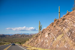 HJRW_20161105_DSC8459.jpg HJRW_20161105_DSC8459.jpg