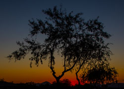 HJRW_20181110_DSC12659.jpg HJRW_20181110_DSC12659.jpg