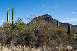 HJRW_20200125_6316.jpg HJRW_20200125_6316.jpg