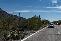 HJRW_20200125_6331.jpg HJRW_20200125_6331.jpg