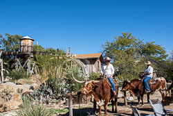 HJRW_20200125_6364.jpg HJRW_20200125_6364.jpg