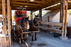 HJRW_20200125_6375.jpg HJRW_20200125_6375.jpg