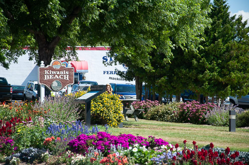 DSC_7775.jpg DSC_7775.jpg