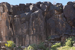 HJRW_20230225_DSC8340.jpg HJRW_20230225_DSC8340.jpg