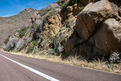 HJRW_20230408_DSC8619.jpg HJRW_20230408_DSC8619.jpg