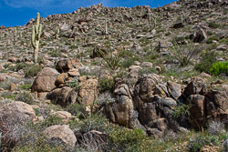 HJRW_20230408_DSC8647.jpg HJRW_20230408_DSC8647.jpg