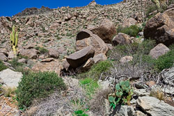 HJRW_20230408_DSC8659.jpg HJRW_20230408_DSC8659.jpg