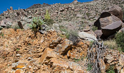 HJRW_20230408_DSC8660.jpg HJRW_20230408_DSC8660.jpg