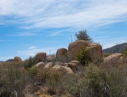 HJRW_20230408_DSC8753.jpg HJRW_20230408_DSC8753.jpg