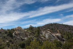 HJRW_20230408_DSC8787.jpg HJRW_20230408_DSC8787.jpg