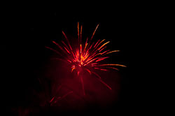 DSC_6608.jpg DSC_6608.jpg