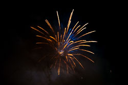 DSC_6609.jpg DSC_6609.jpg