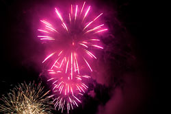 DSC_6679.jpg DSC_6679.jpg