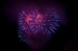 DSC_6687.jpg DSC_6687.jpg