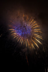 DSC_6733.jpg DSC_6733.jpg