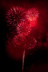 DSC_6786.jpg DSC_6786.jpg