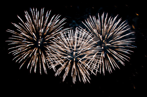 DSC_7217.jpg DSC_7217.jpg