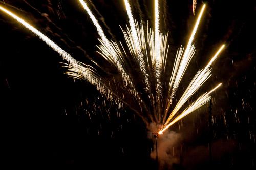 DSC_7254.jpg DSC_7254.jpg