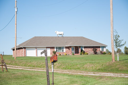 DSC_2089.jpg DSC_2089.jpg