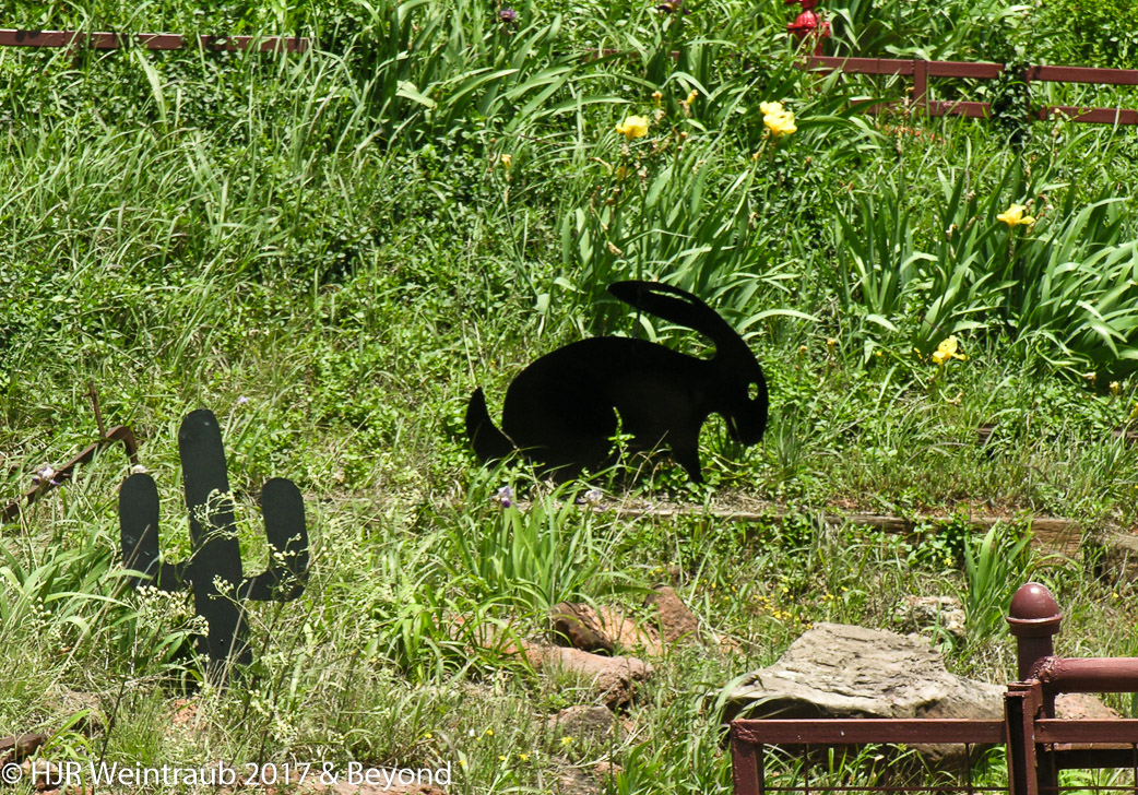 DSCN0296.jpg