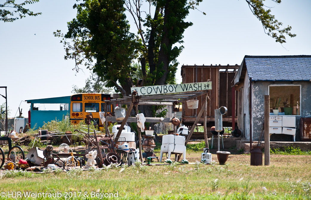 DSC_11157.jpg