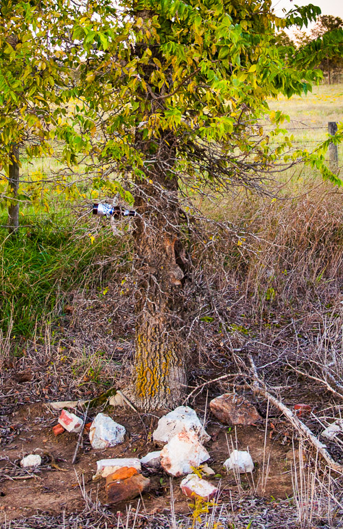 DSC_2139.jpg DSC_2139.jpg