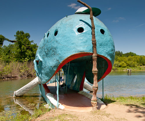 DSC_5337.jpg DSC_5337.jpg