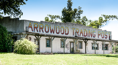 DSC_5346-Edit.jpg DSC_5346-Edit.jpg