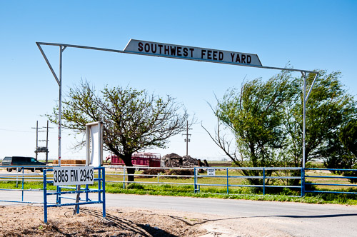 DSC_5222.jpg DSC_5222.jpg