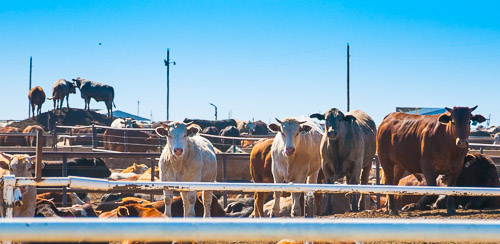 DSC_5224.jpg DSC_5224.jpg