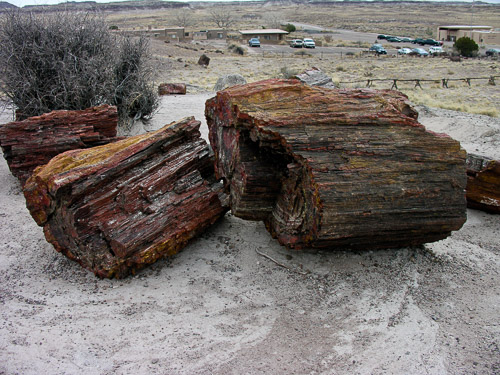 DSCN3874.jpg DSCN3874.jpg