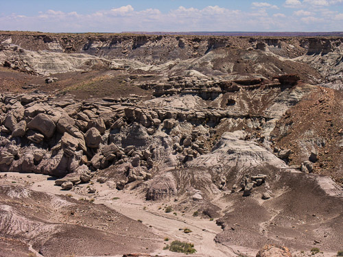 DSCN4266.jpg DSCN4266.jpg