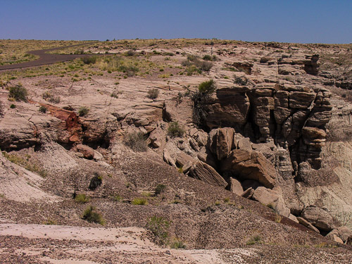 DSCN4267.jpg DSCN4267.jpg