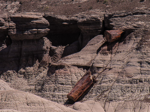 DSCN4269.jpg DSCN4269.jpg