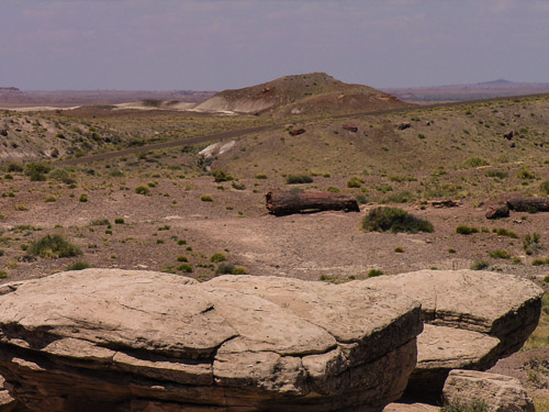 DSCN4271.jpg DSCN4271.jpg