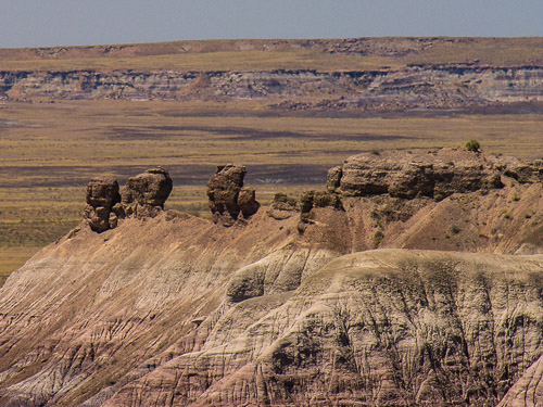 DSCN4273.jpg DSCN4273.jpg